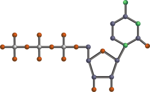 pagine-genetica-dna